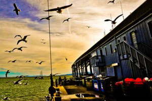 骚扰电话呼叫软件